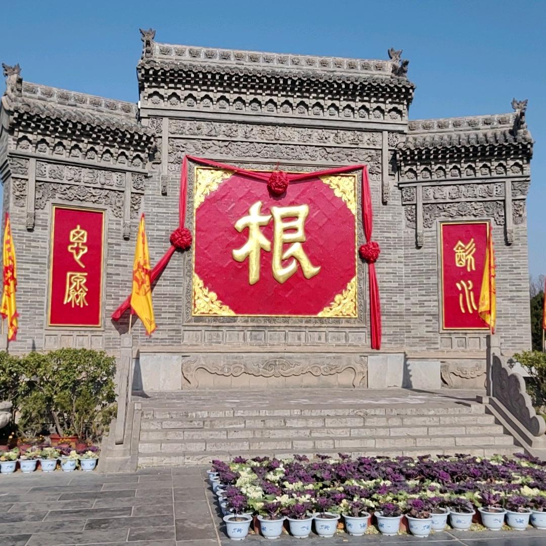 农村小杨