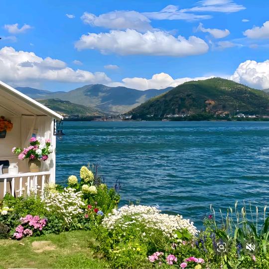 @☘️🐴烟雨🍁江南🐬