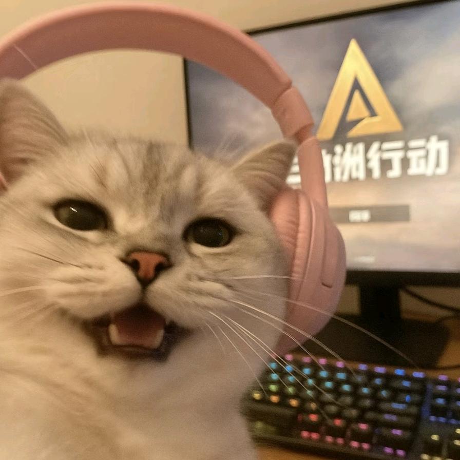 辰辰三角洲