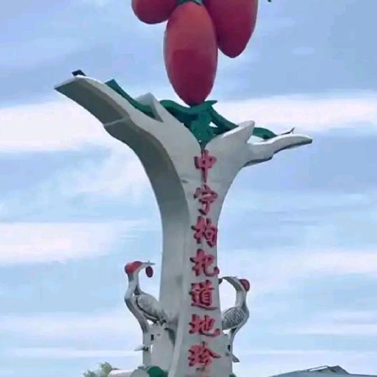 宁夏鸿涛枸杞干果批发，实体店