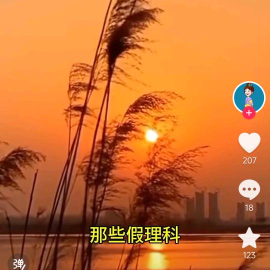 红尘中的过客