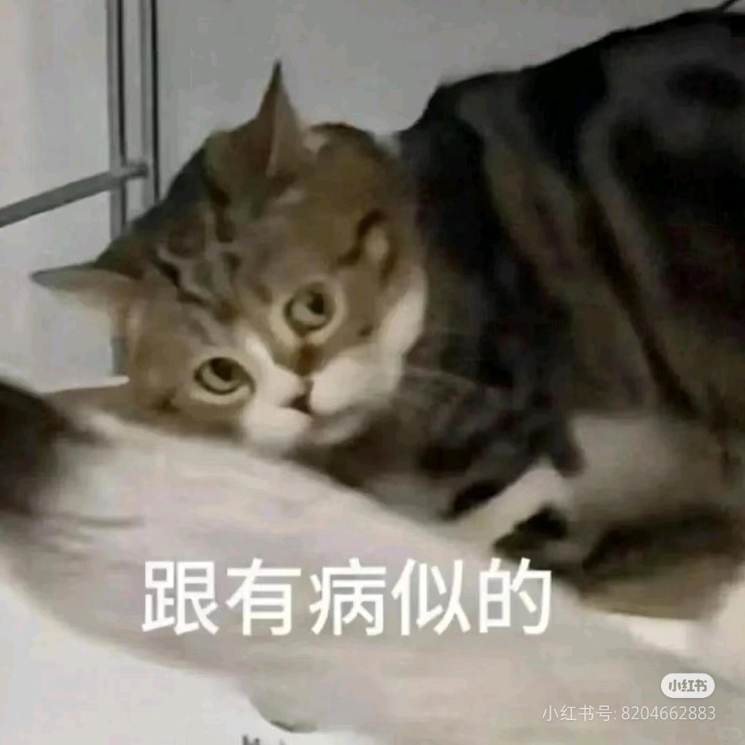 125548966999
