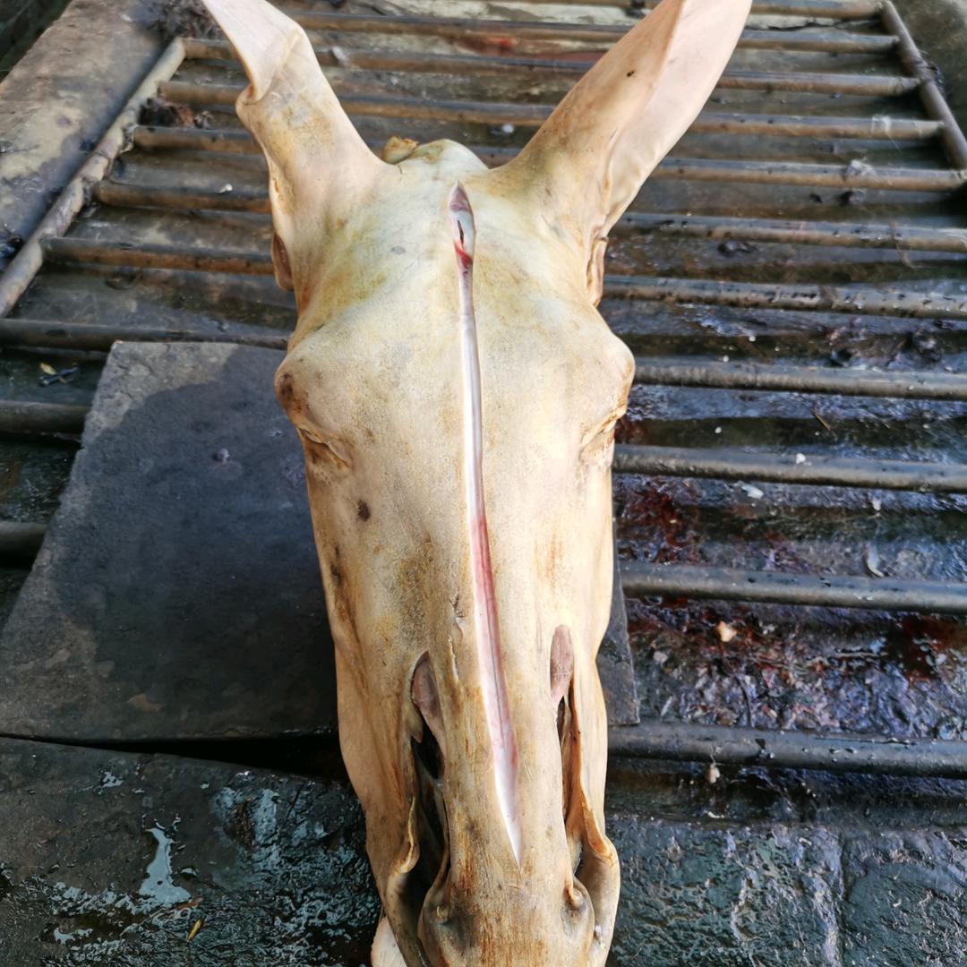 驴肉，马肉批发零售