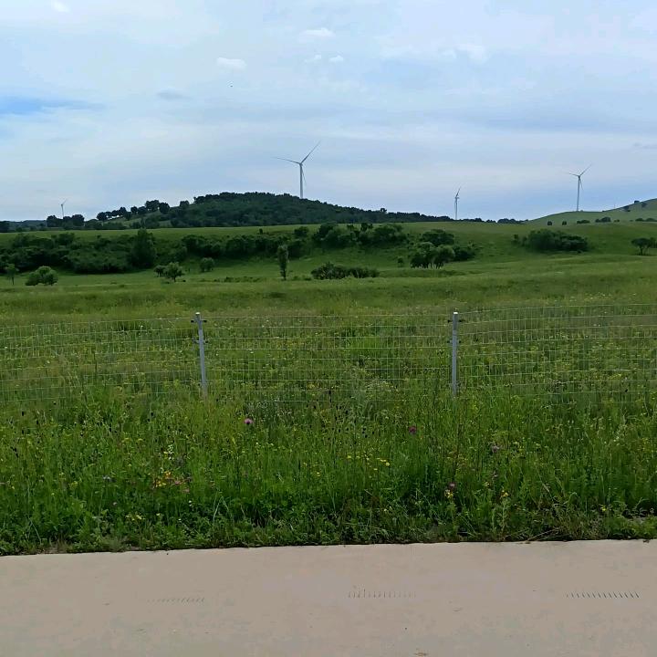 隔壁老王故事会