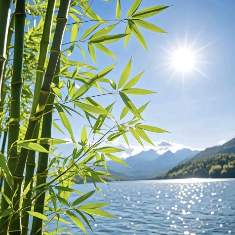 ʜᴀ͟ᴘ͟ᴘ͟ʏ. ⦁֊⦁꧞