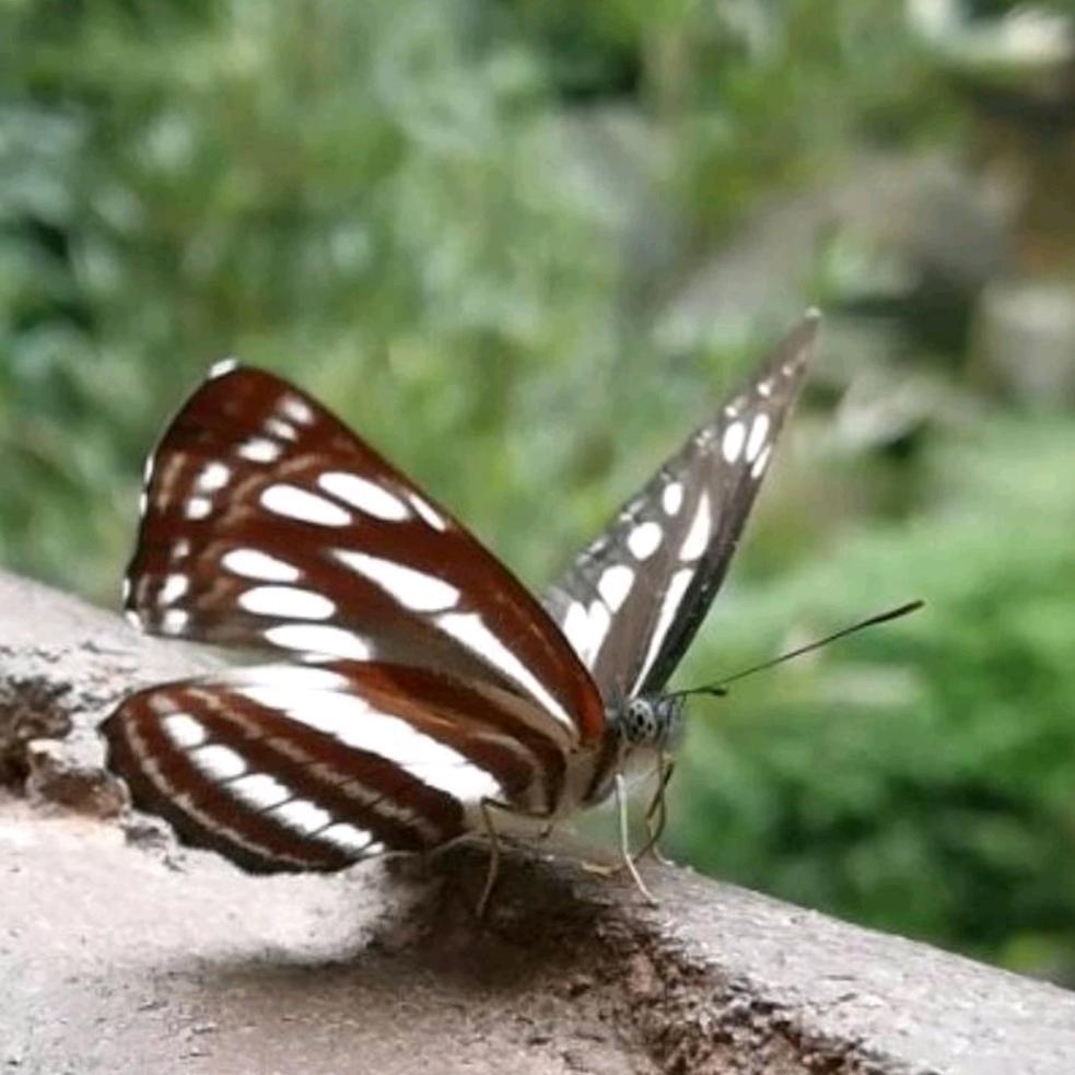 平常民间故事，闲时钓鱼故事