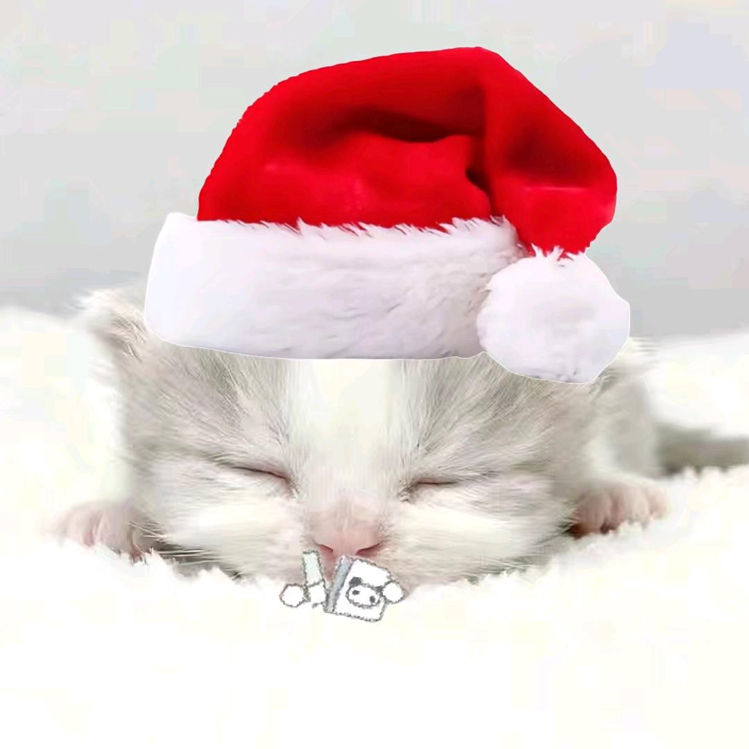 死在老婆为男模出逃的那个雨夜