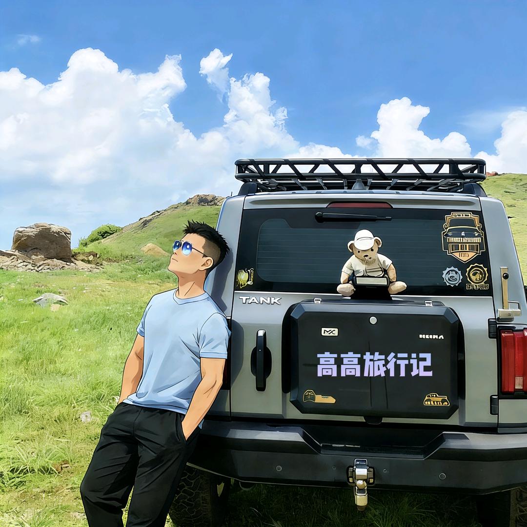 高高旅行记