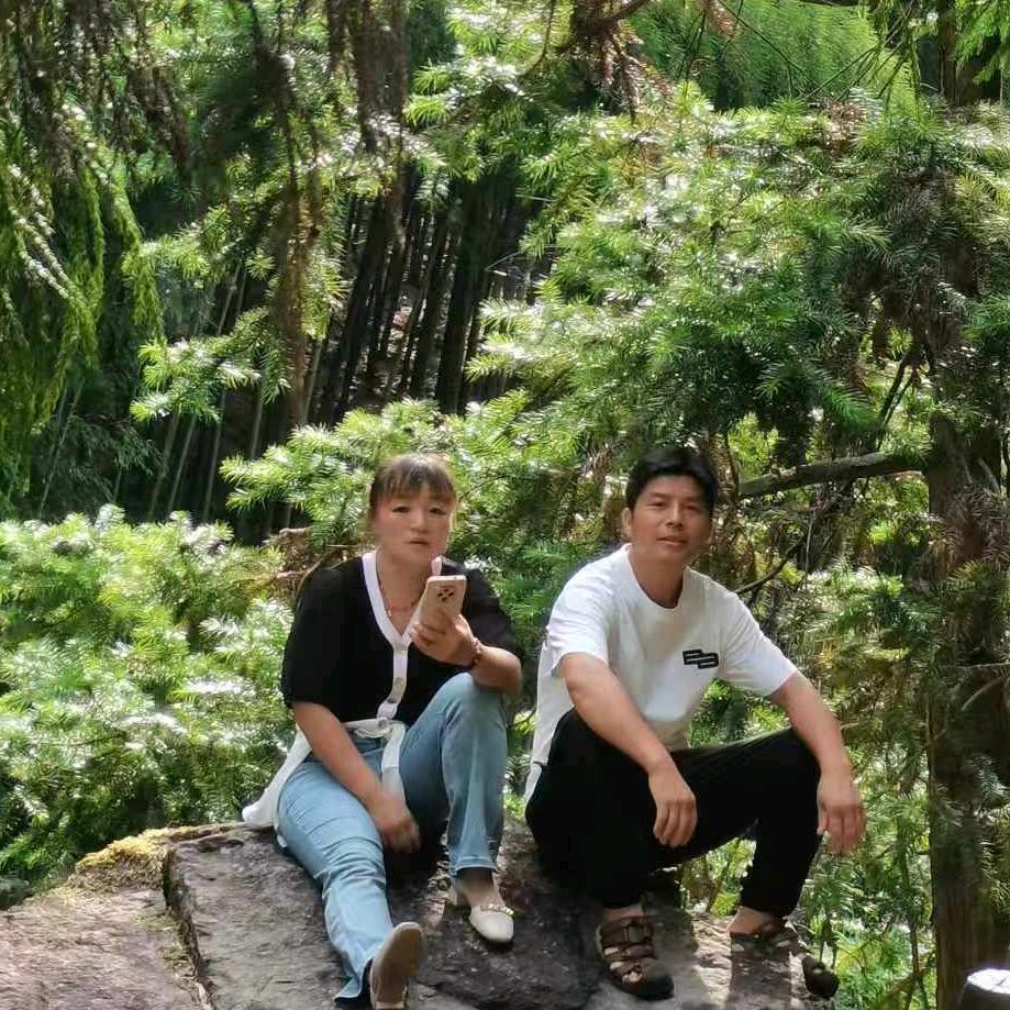 杨🌹家🥀敏🌸