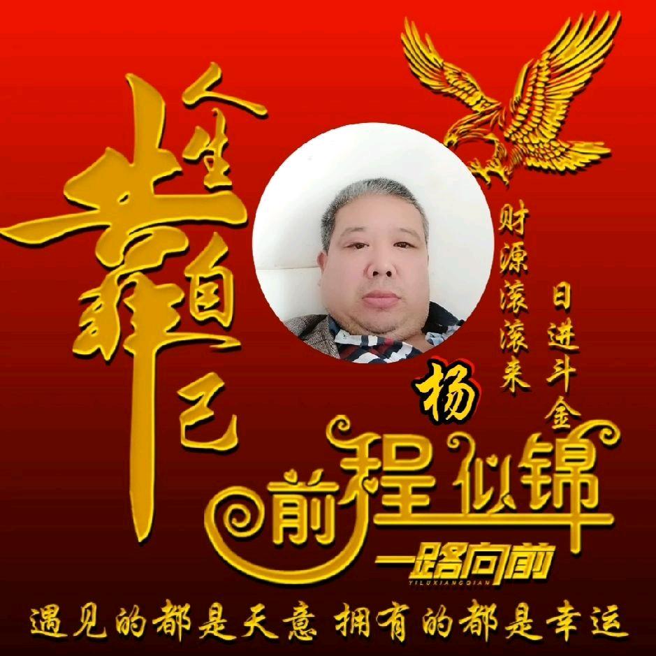 我的人生很平庸