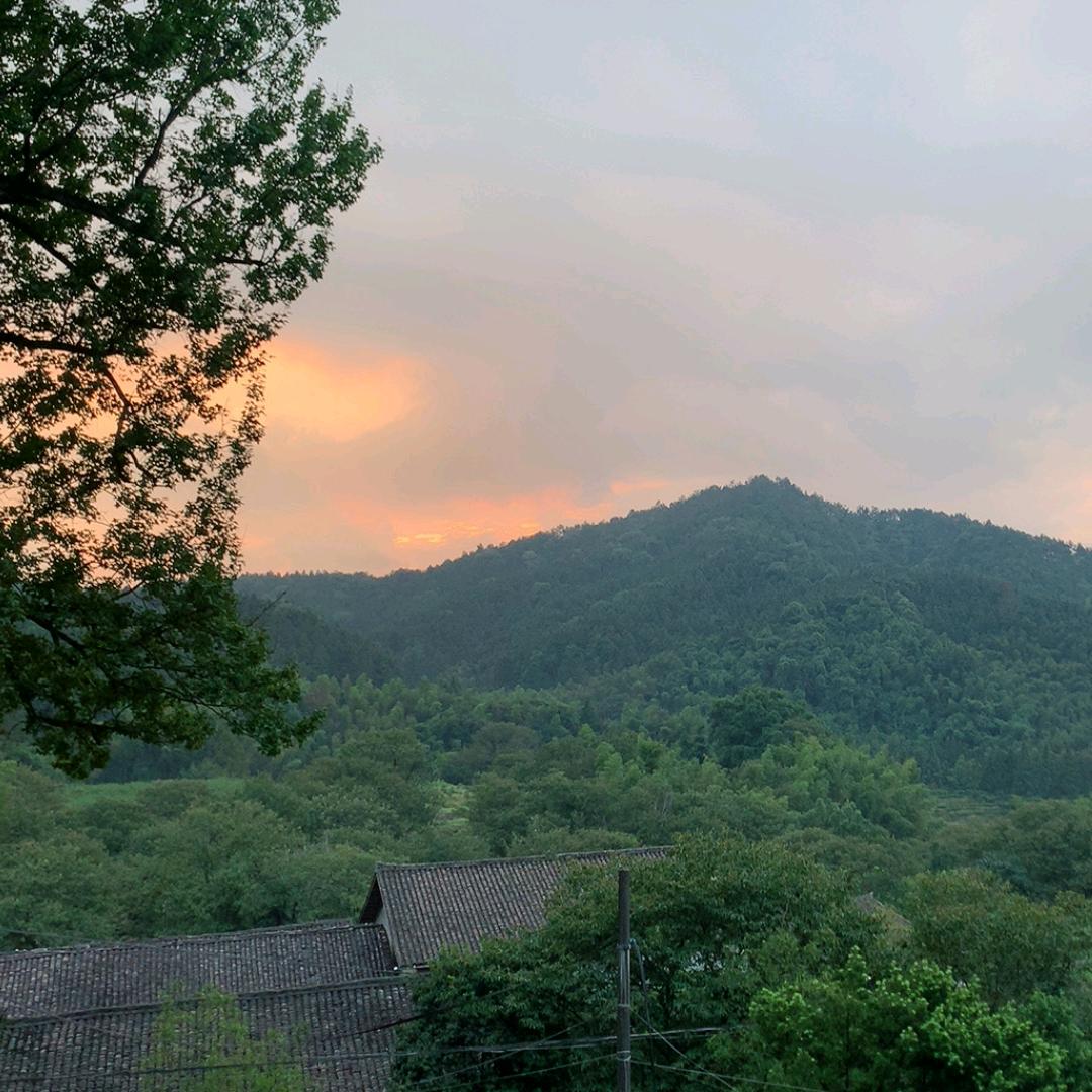 龙虎山☯️张三七