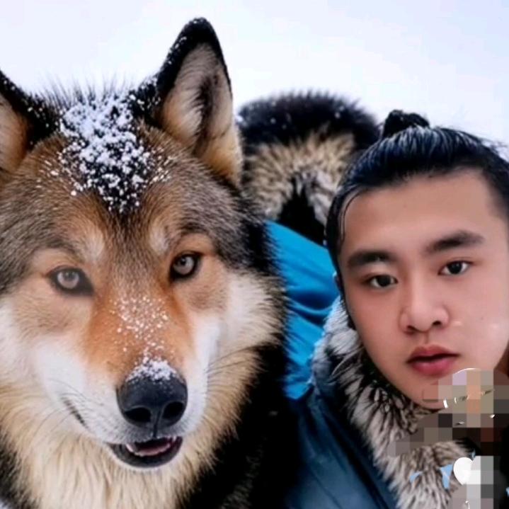 无畏无谓