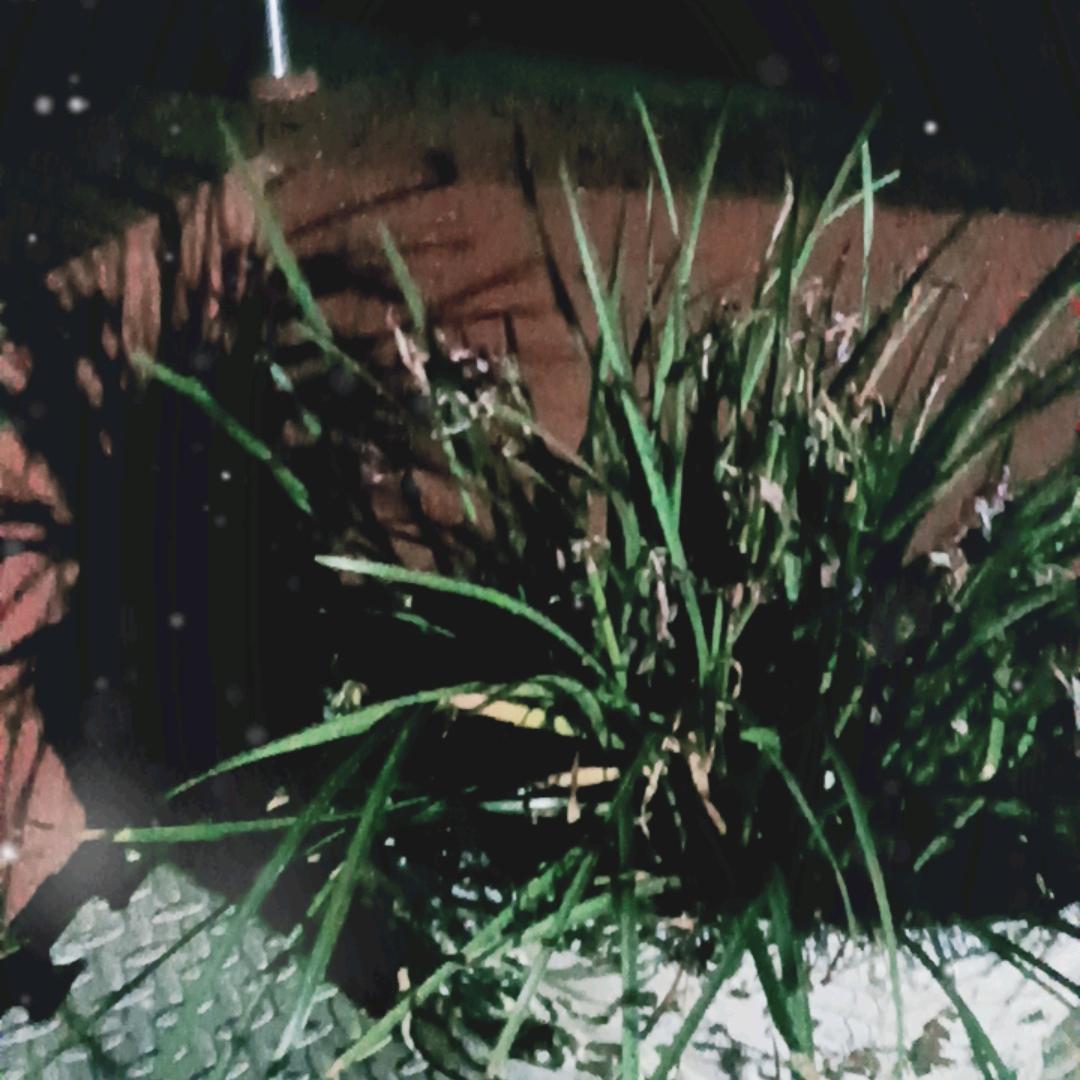 我的世界只有你