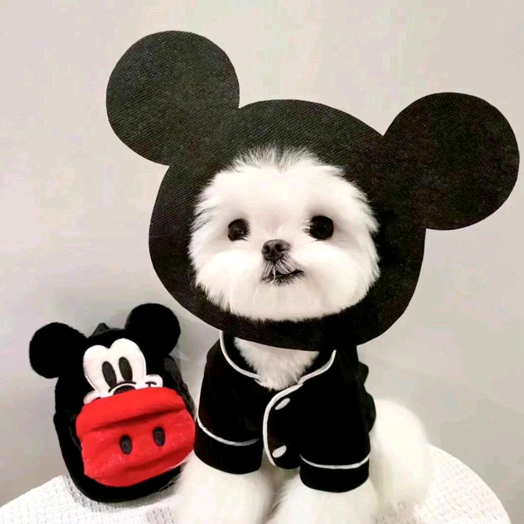 我姓<王>