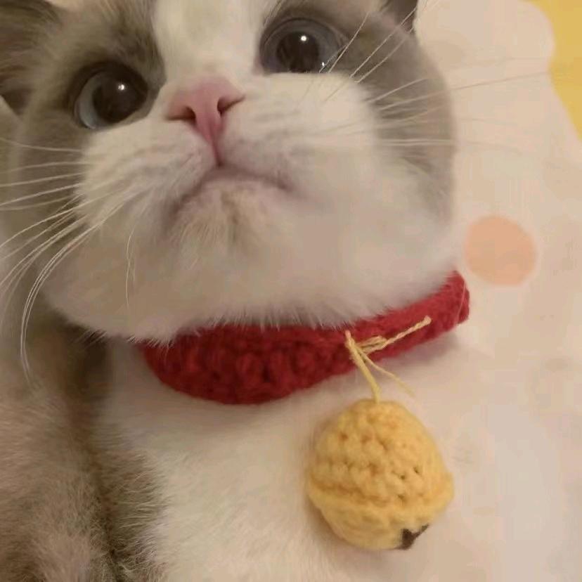 茵菓