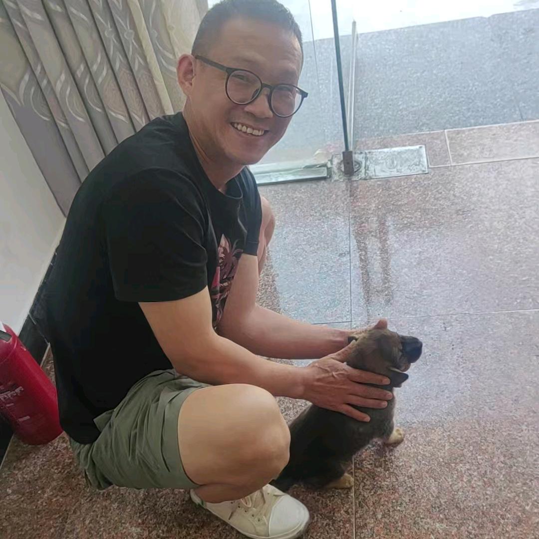 辉