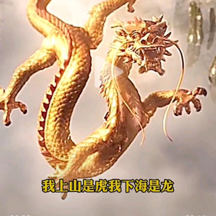 龙爷