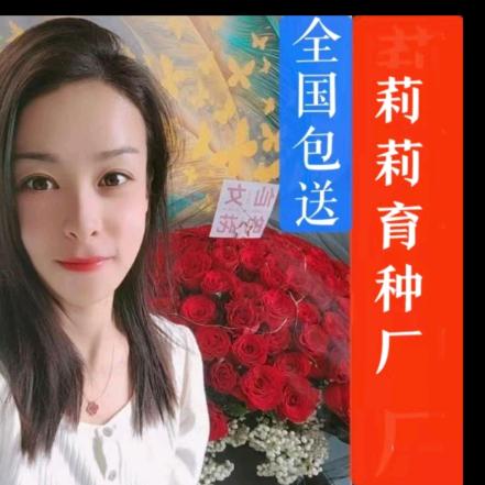莉莉育种厂🚩湖北恩施(收徒)
