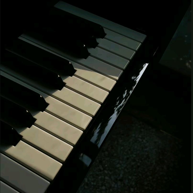 🎹德彪西的东✨