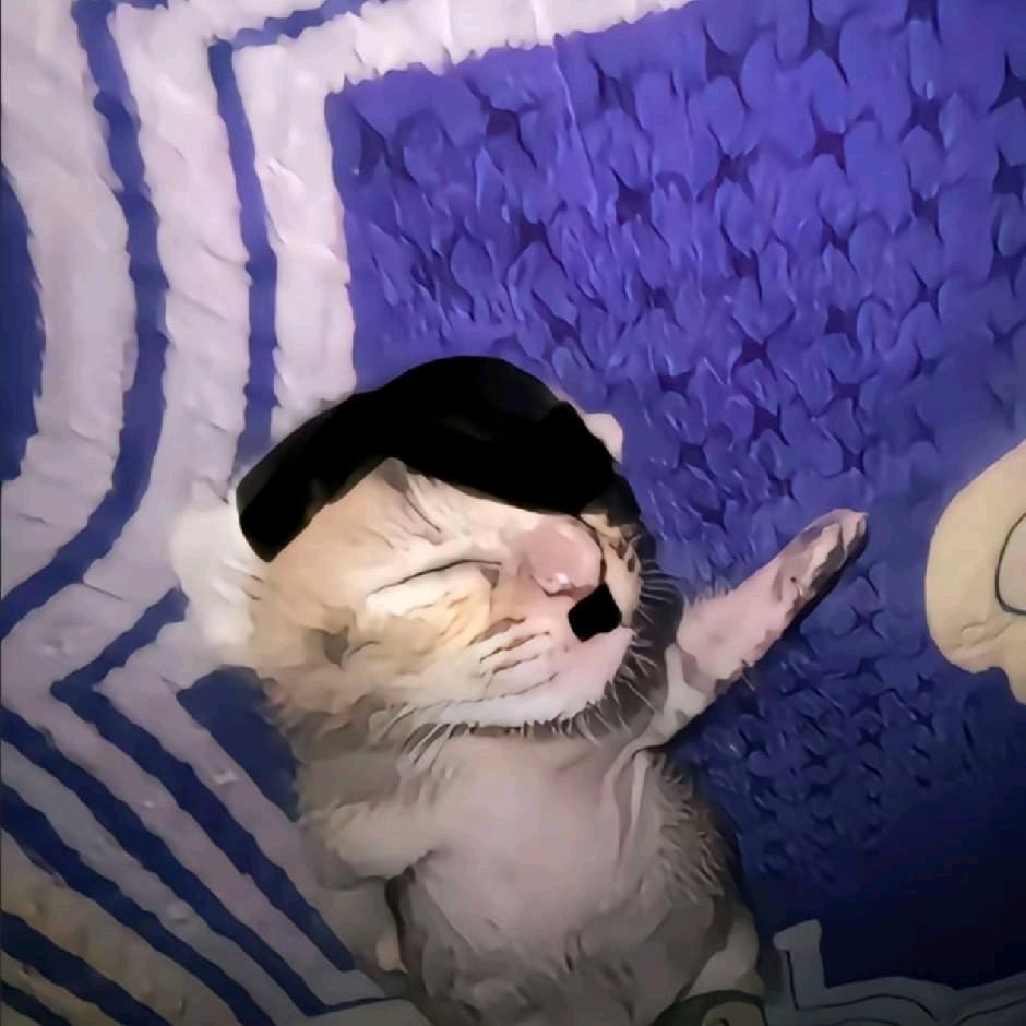 西海