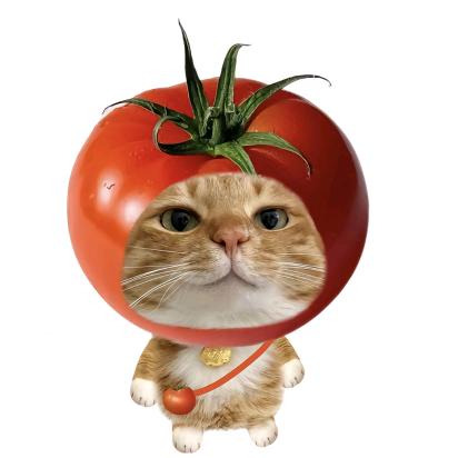 早自习🍅