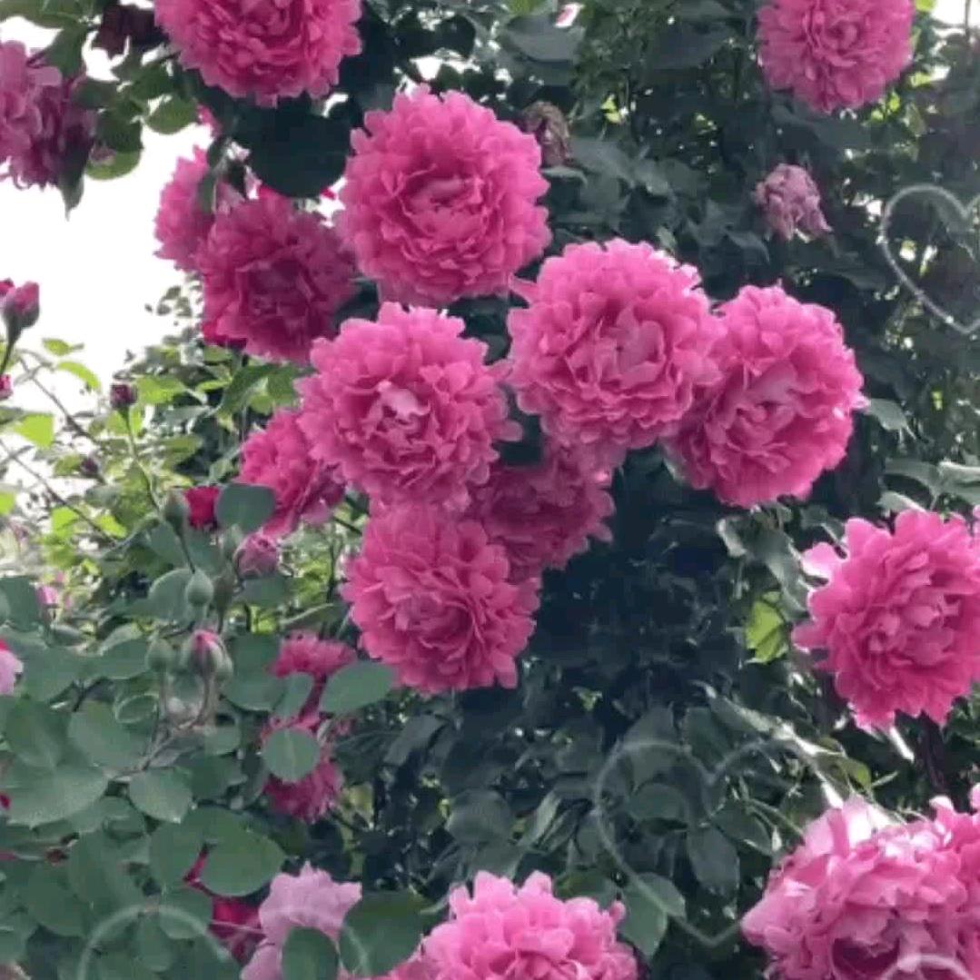 不忘初心