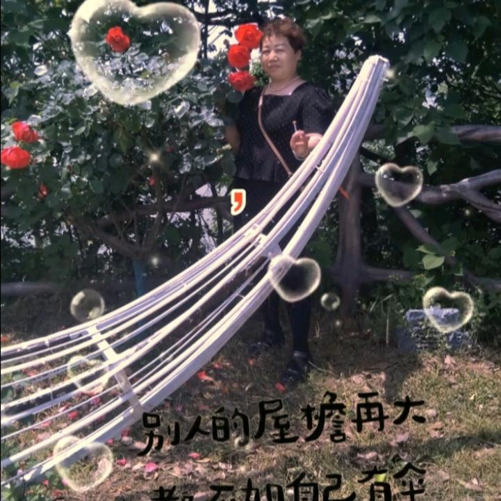 志强影视