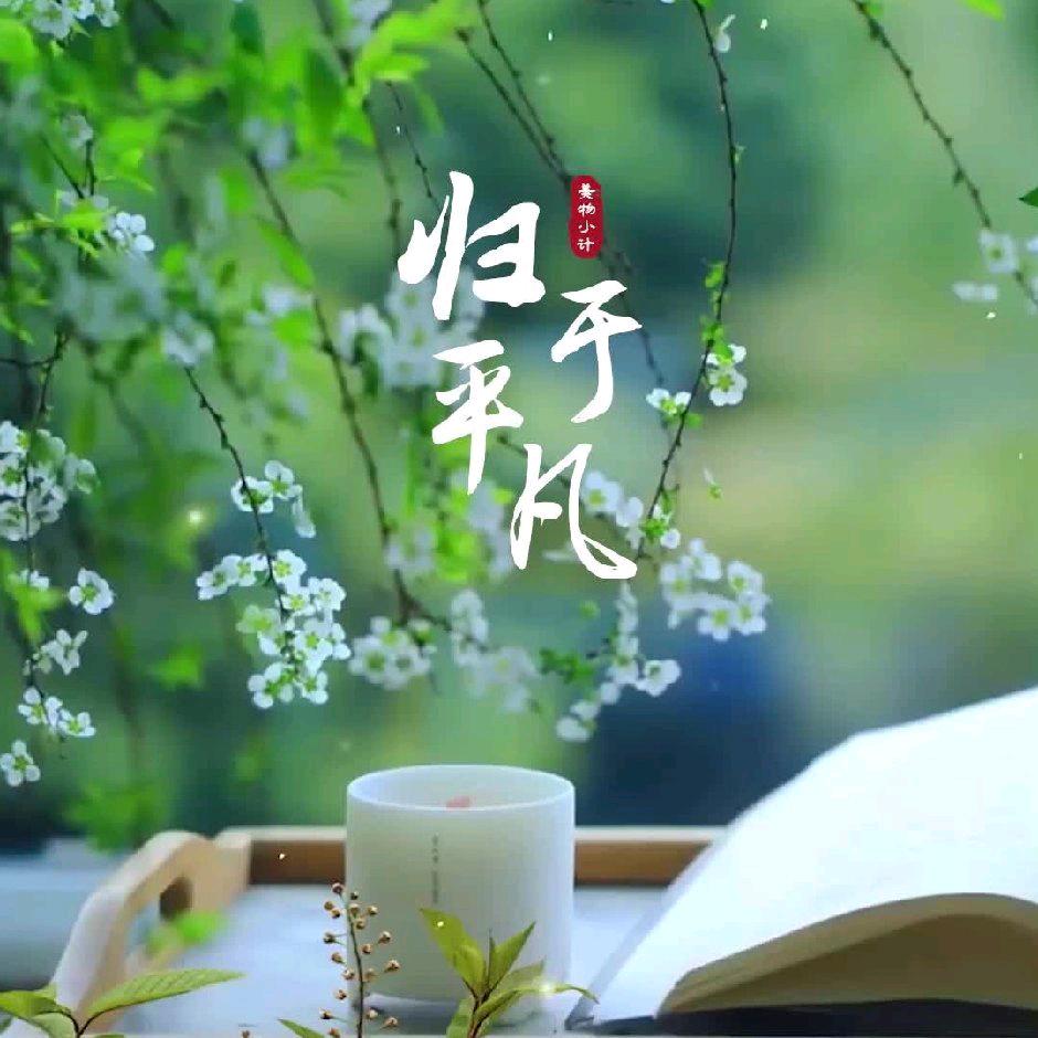 🌈菲艾尚