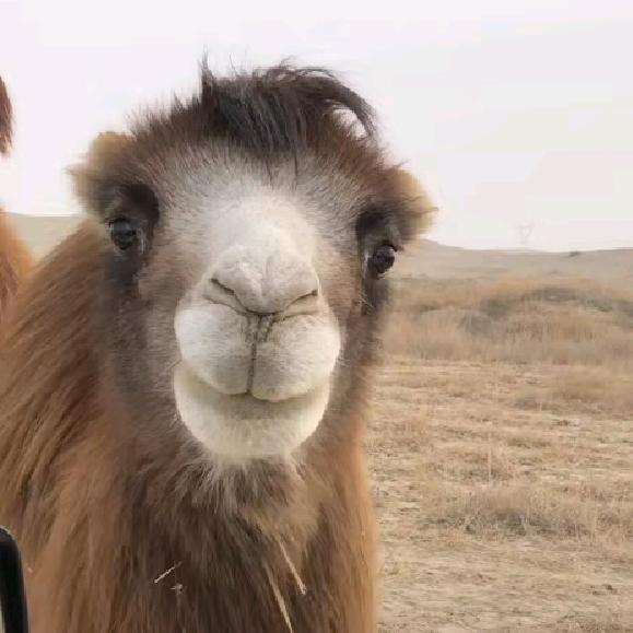 大荒臻选农产品