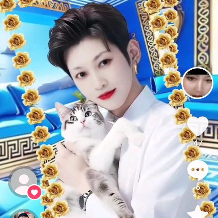受伤的小燕子