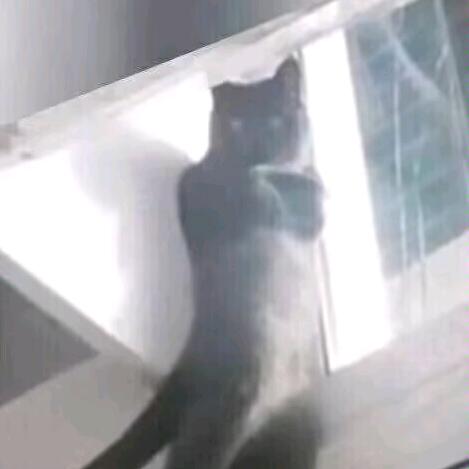 甄TM离谱