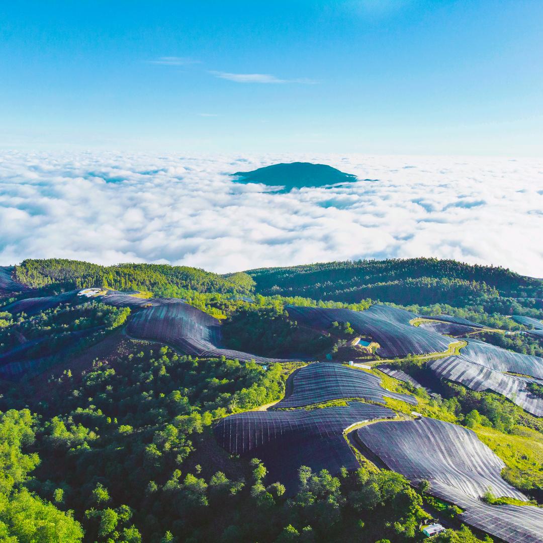 云泽润滋补养生专营店