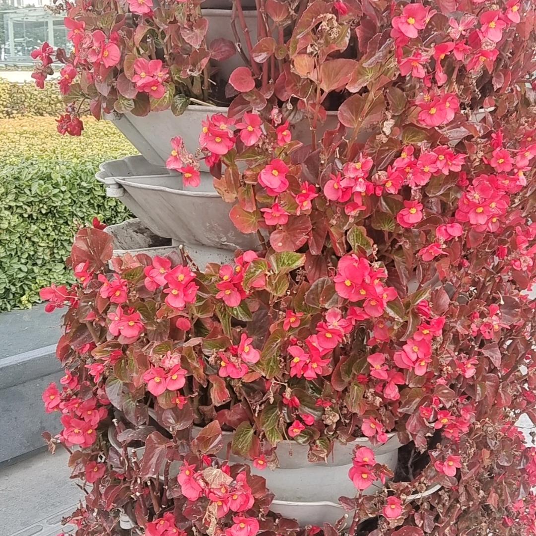 沉默