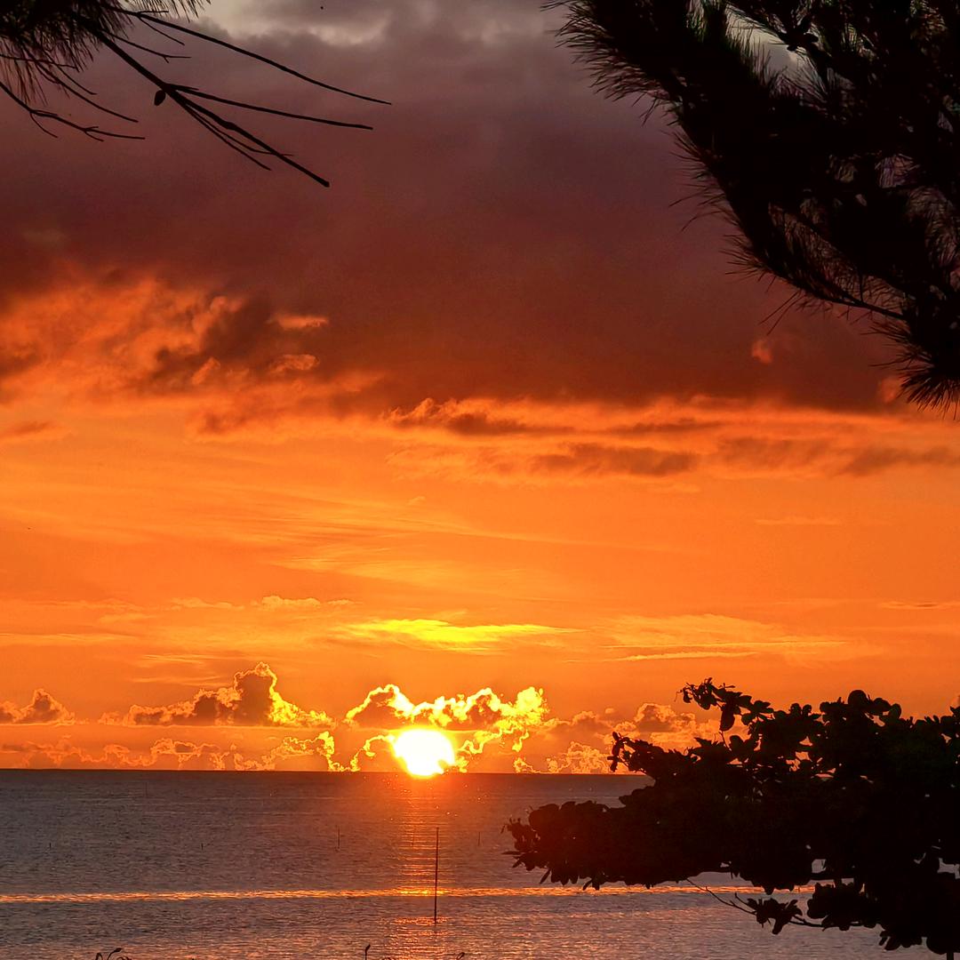元气满满🍂✨⚽