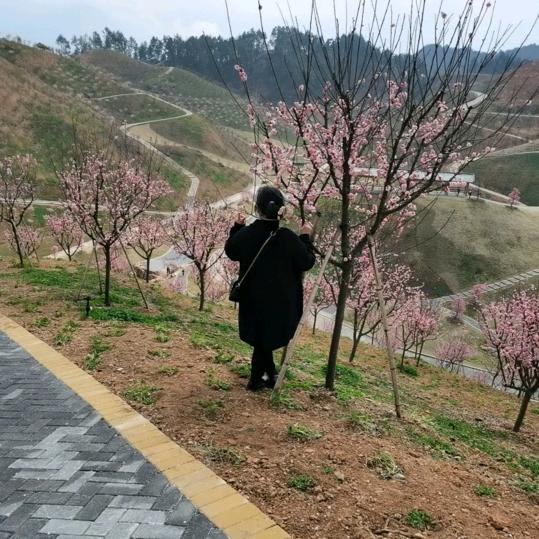 ❤️回不去的曾经