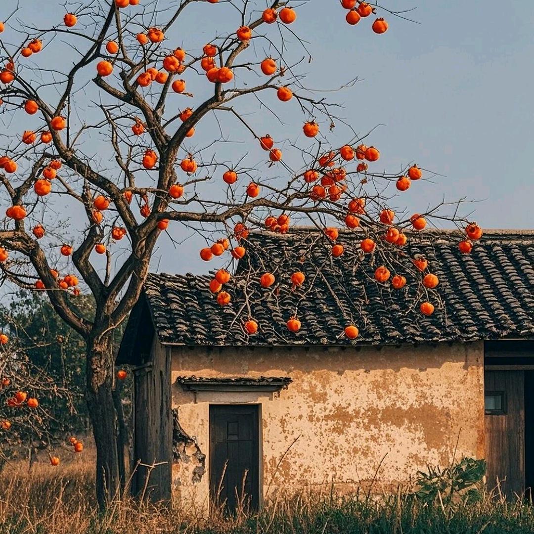 小浪家好物分享