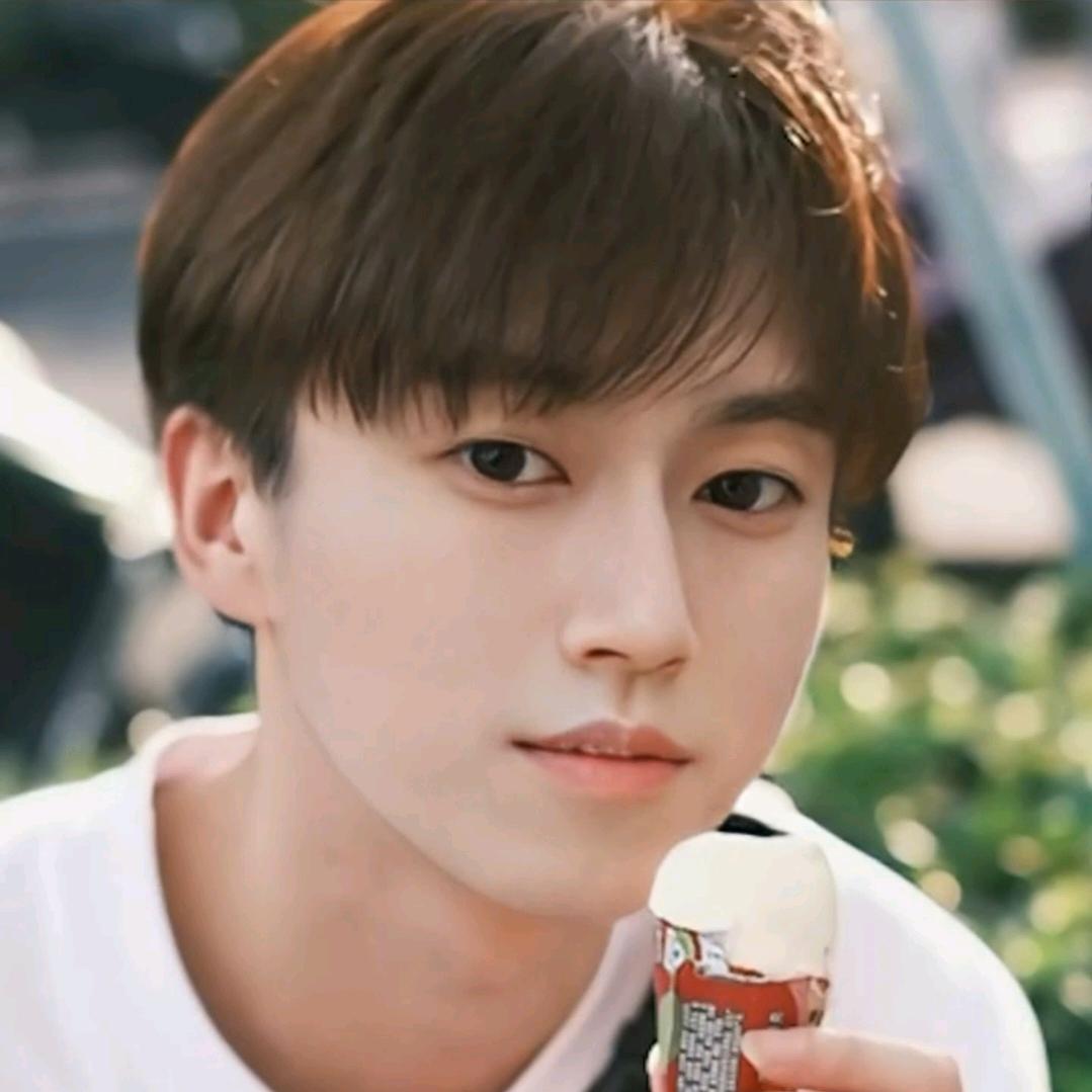 尼古拉斯铁柱