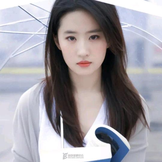 颜感秘集