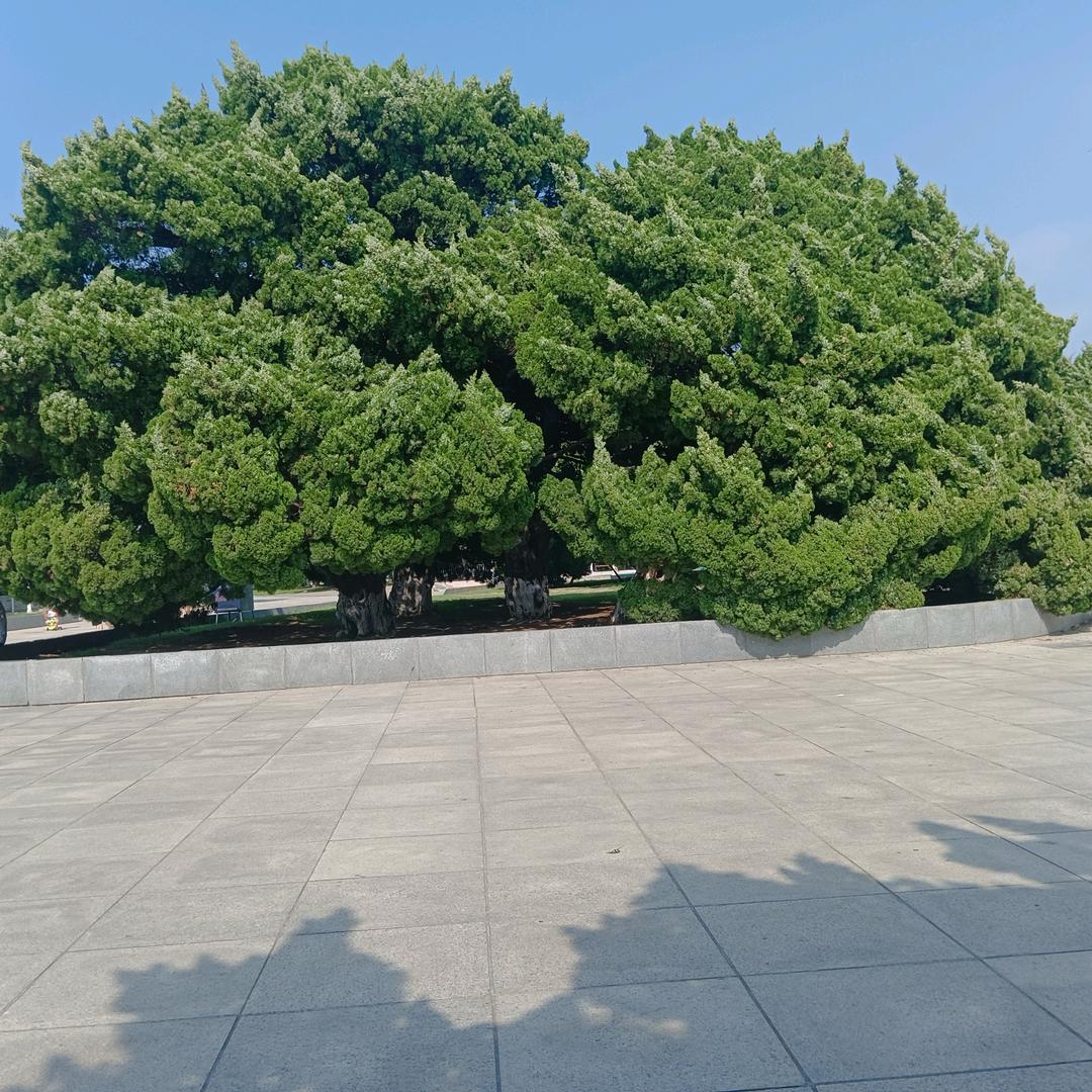 用户9817598036930