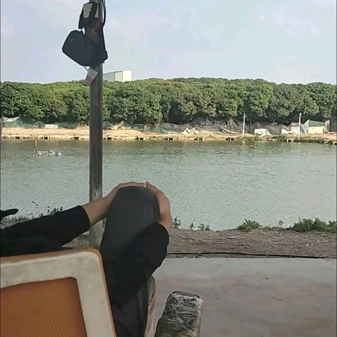 老表