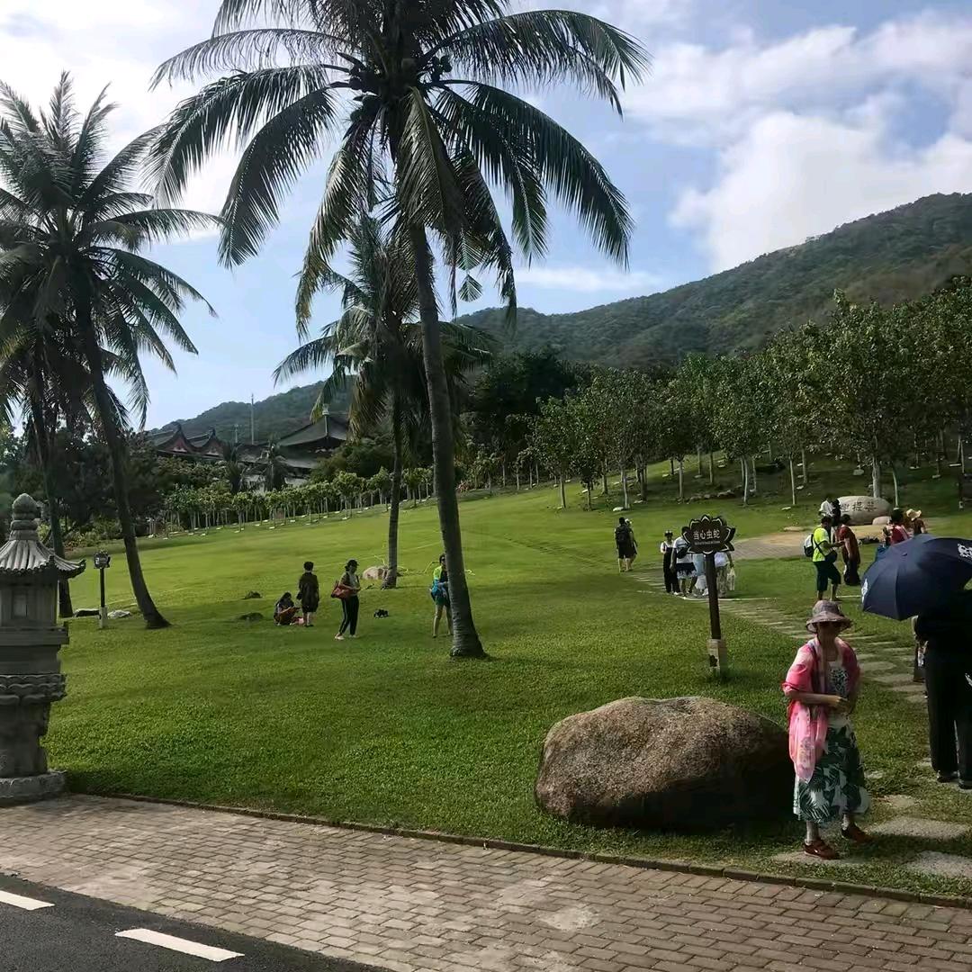 心海宫影视