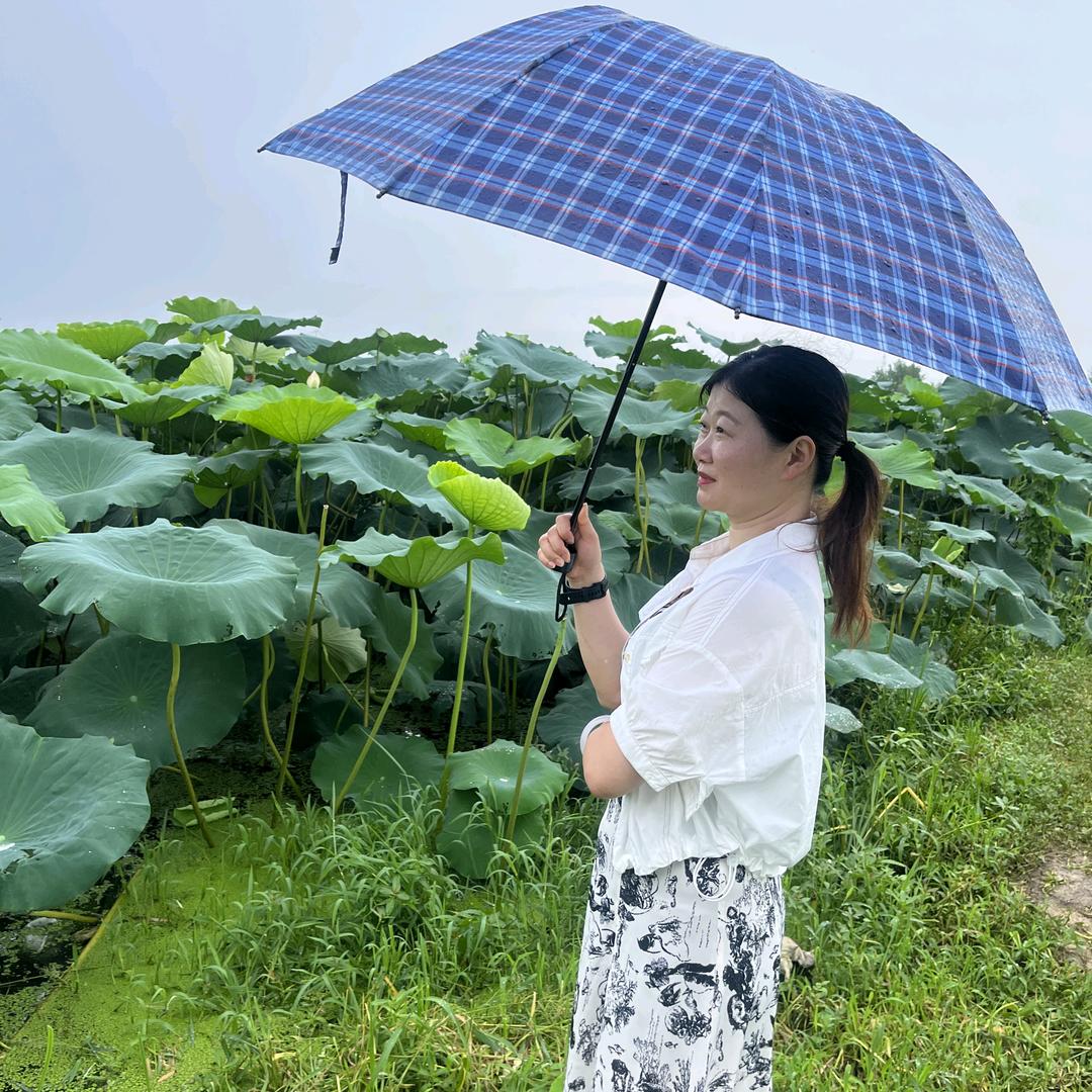 五香荷花