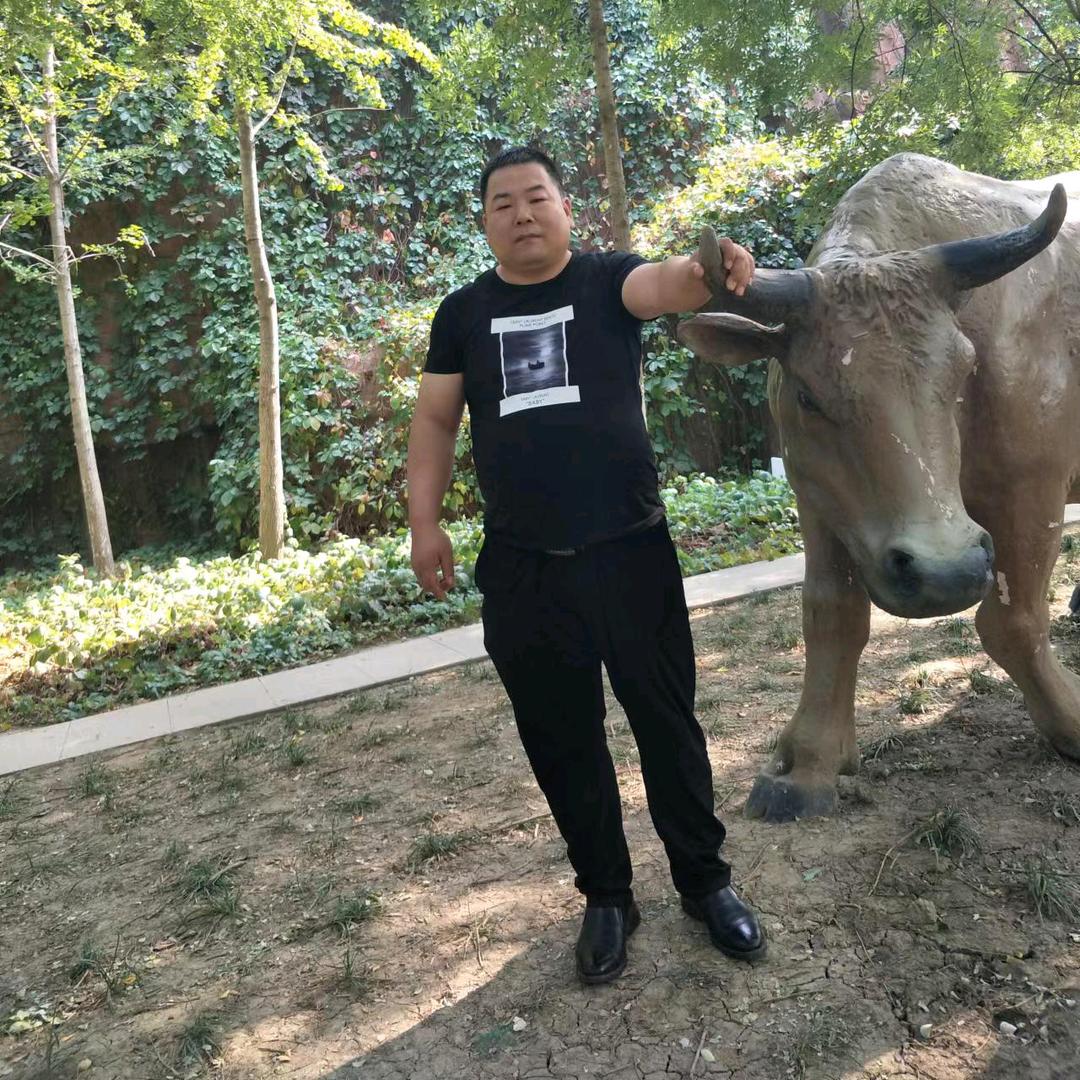 观天下自媒体