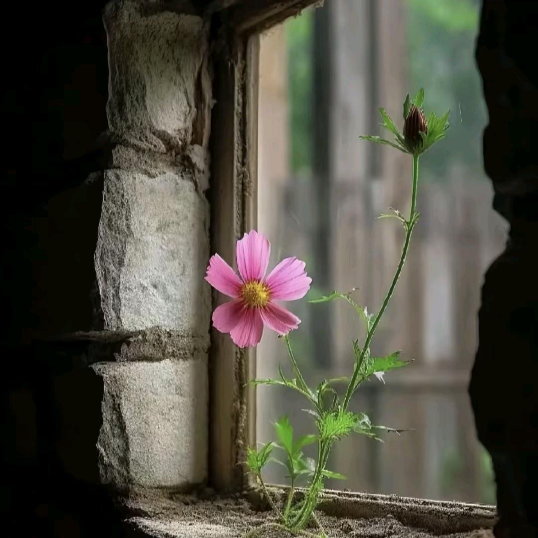 大城小李