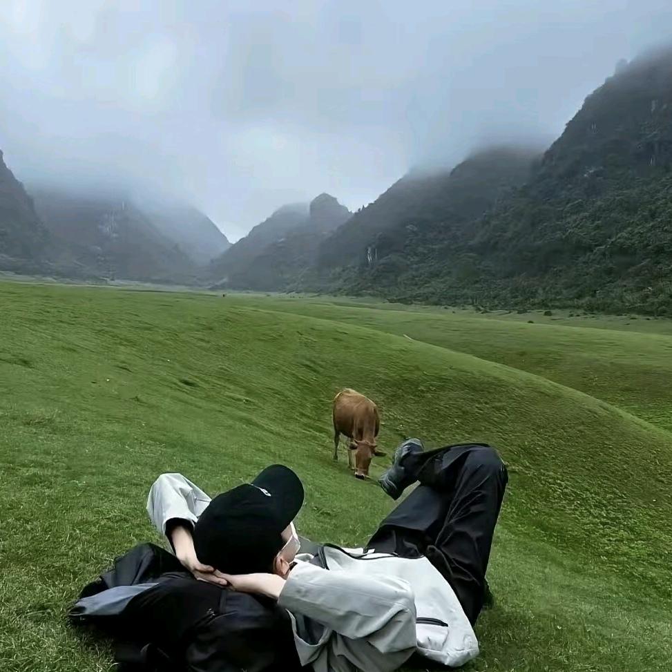 离合