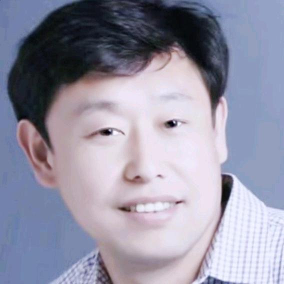 雁南飞
