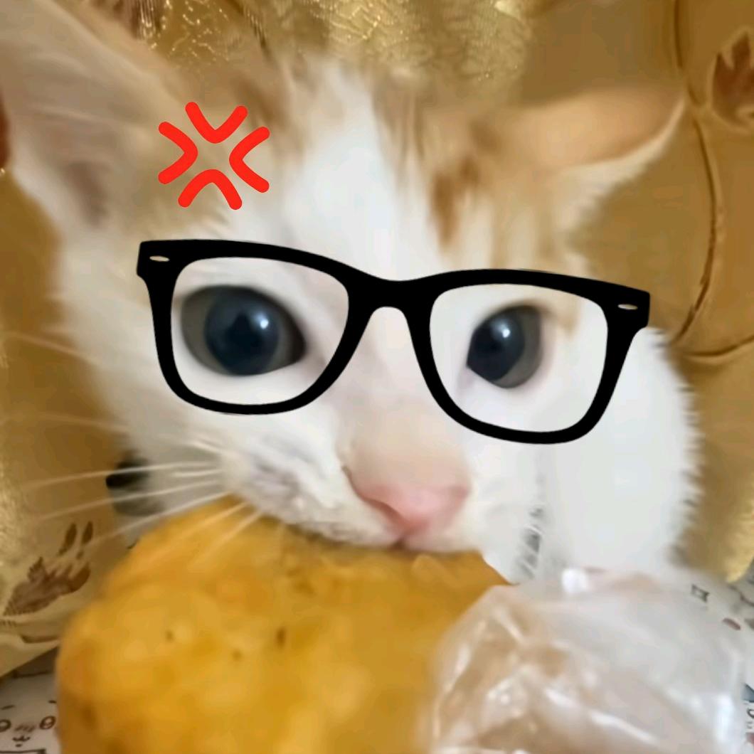 he的循环章
