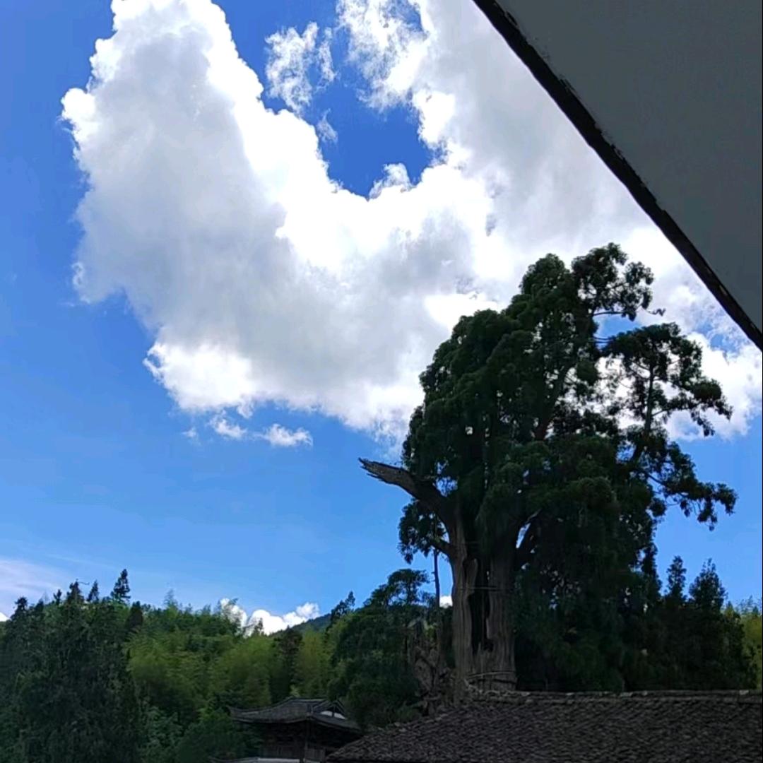 百力磨具，应🦅🦅