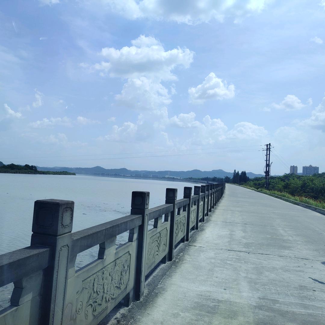75年-老聂