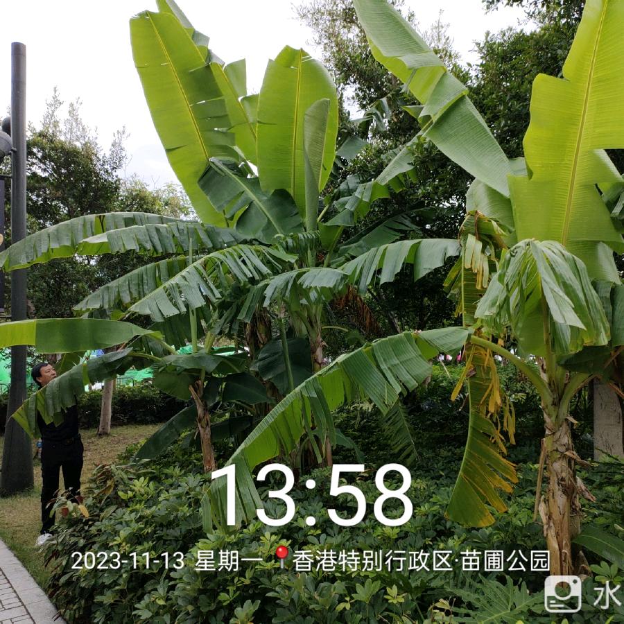 自由自在